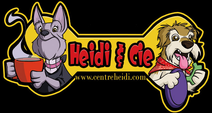 Logo de Heidi & cie