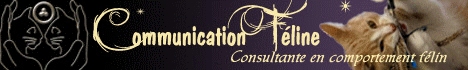 Communication F�line